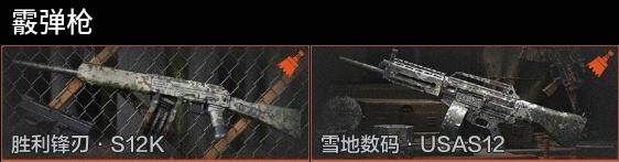 AQZY33510暗区突围账号详情图9