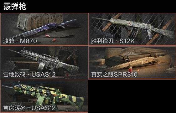 AQZY33513暗区突围账号详情图9