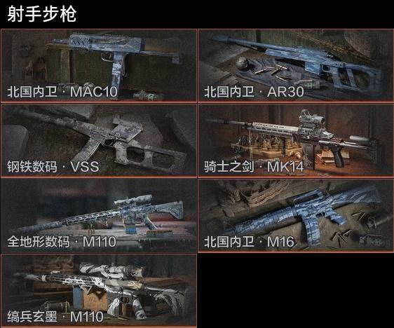 AQZY33475暗区突围账号详情图7 AQZY33475暗区突围账号详情图7