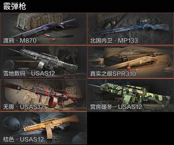 AQZY33517暗区突围账号详情图9 AQZY33517暗区突围账号详情图9