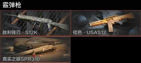 AQZY33525暗区突围账号详情图9 AQZY33525暗区突围账号详情图9