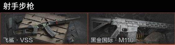 AQZY33667暗区突围账号详情图8 AQZY33667暗区突围账号详情图8