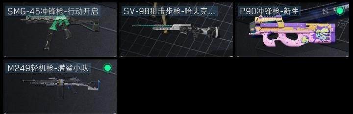 SJZZY314479三角洲行动账号详情图5 SJZZY314479三角洲行动账号详情图5