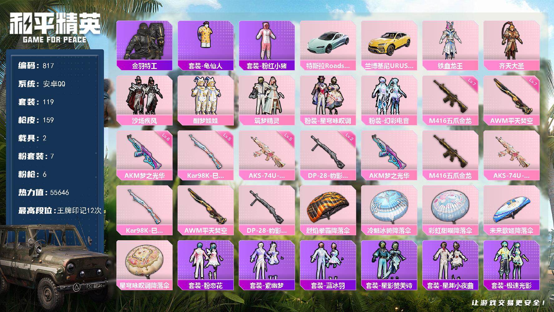 和平精英账号安卓QQ2载具-119套装-159枪皮-119套装/枪械6/装备191/载具2/战备124/王牌印记12/热