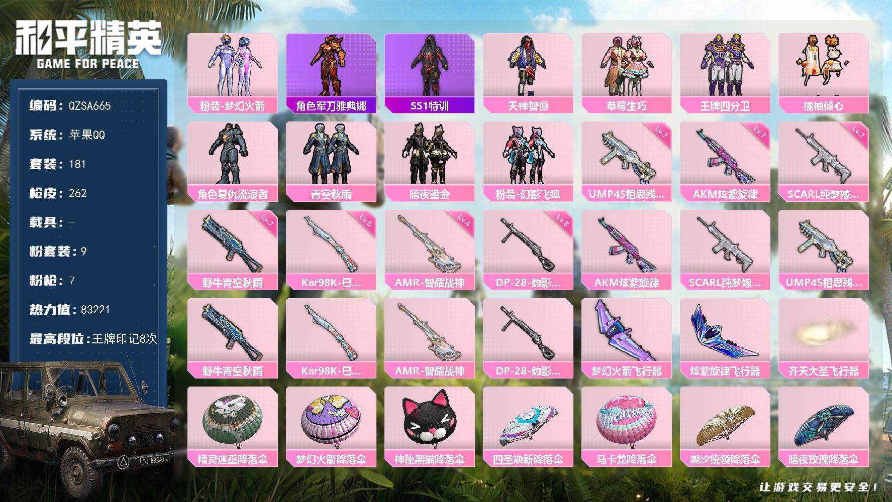 和平精英账号苹果QQ0载具-181套装-262枪皮-【HPSA0】181套装/枪械7/装备319/战备177/王牌印记8