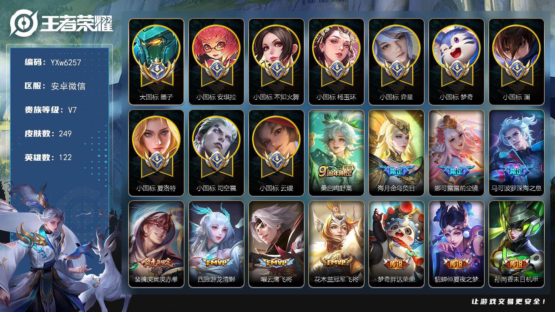 王者荣耀账号安卓VX122英雄-249皮肤-【精品推荐·69段中路·64段对抗路·大国标墨子·小国标司空震·小国标杨玉环