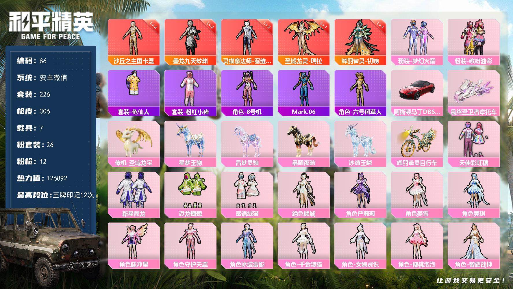 和平精英账号安卓微信7载具-226套装-306枪皮-账号亮点：灵猫魔法师-塞维尔，辉羽雀灵-初翊，圣域龙灵-瑞拉，墨龙九