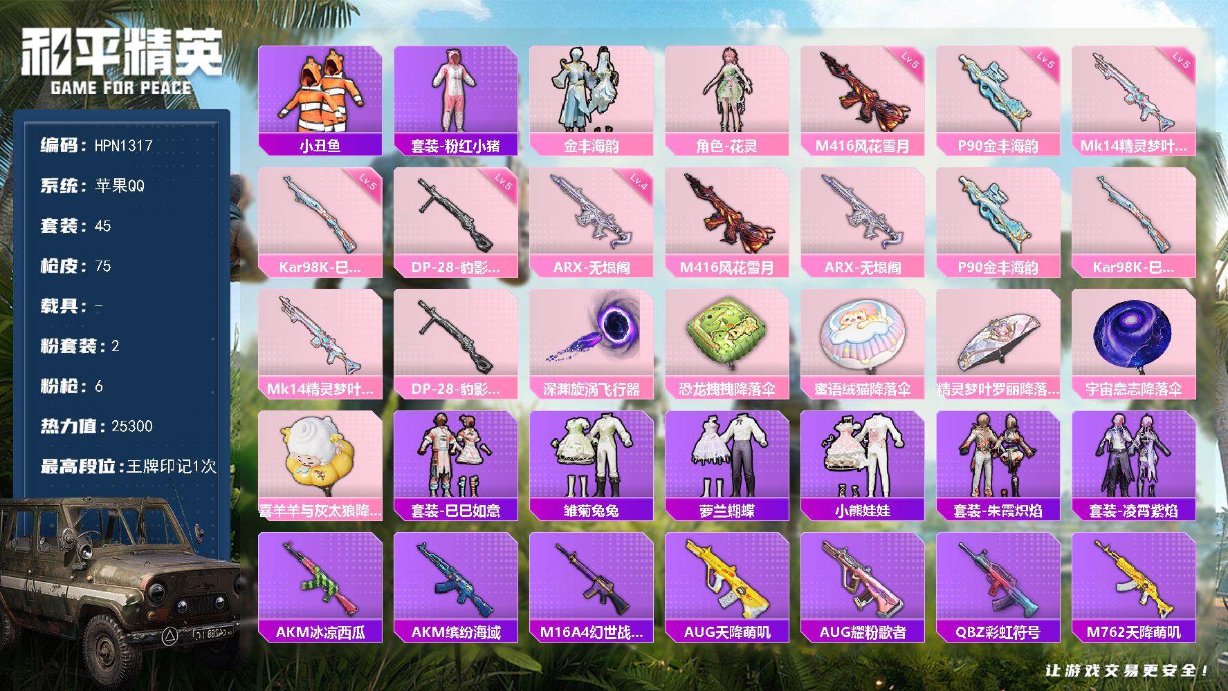 和平精英账号苹果QQ【N1317】45套装/枪械6/装备104/战备47/王牌印记1/热力值25300/五级M416-风