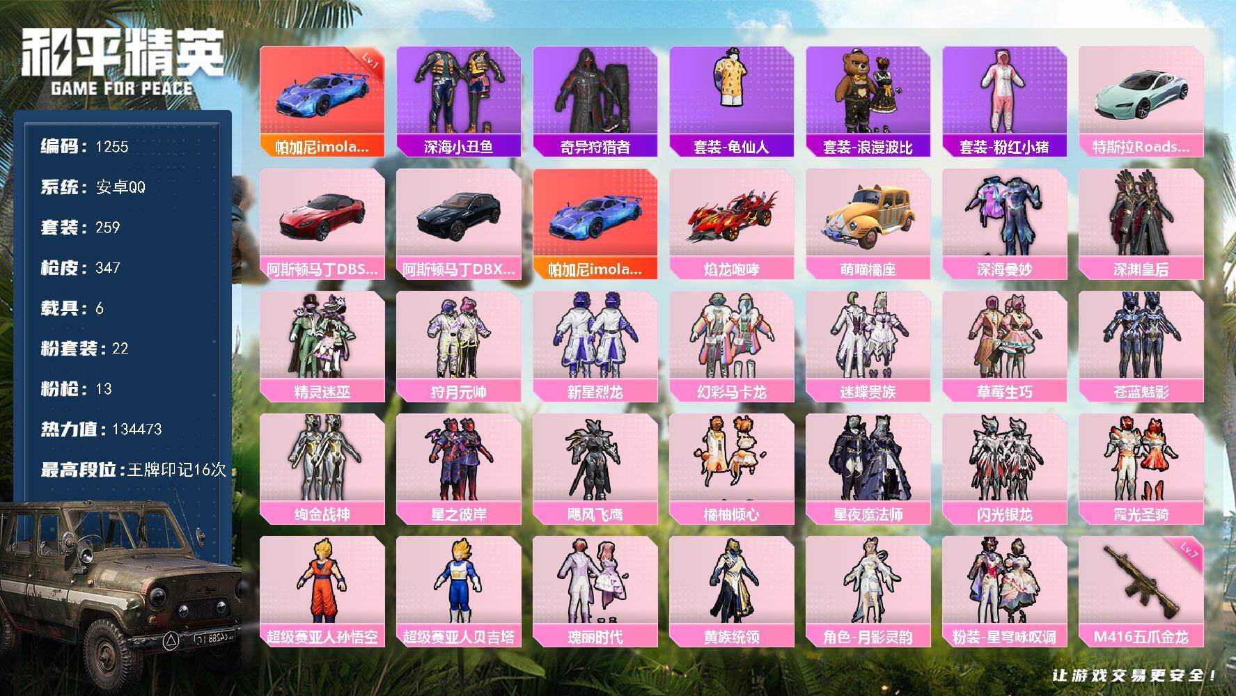 和平精英账号安卓QQ6载具-259套装-347枪皮-259套装/枪械13/装备425/载具6/战备209/王牌印记16/