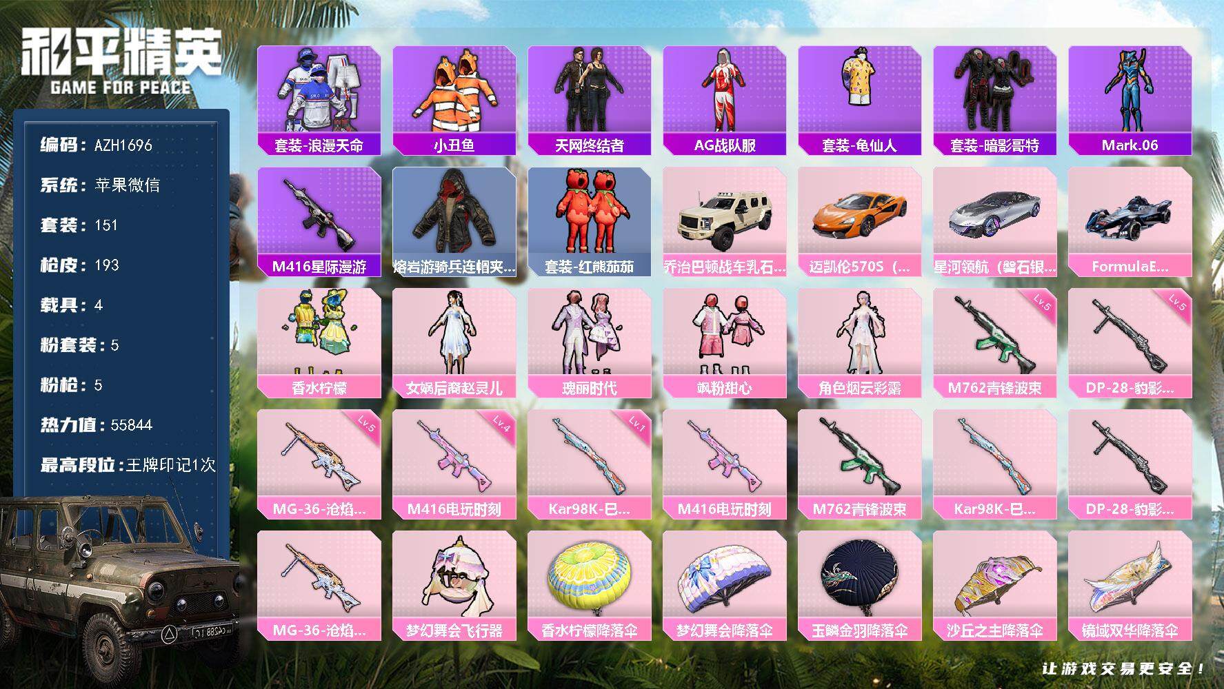 和平精英账号苹果微信【AZH1696】苹果 微信【赵灵儿天网终结者 星际漫游M416 粉熊背包全套】5粉装-5特效枪-4