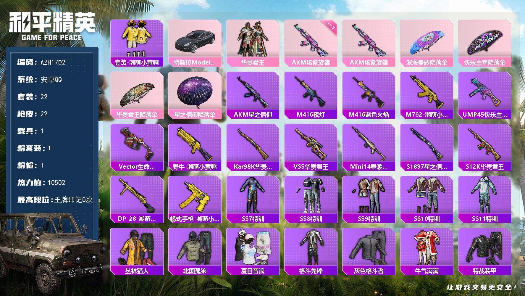 和平精英账号安卓QQ【AZH1702】安卓 手Q【3级炫紫旋律AKM 特斯拉Model 3（冷光银）】1粉装-1特效枪-