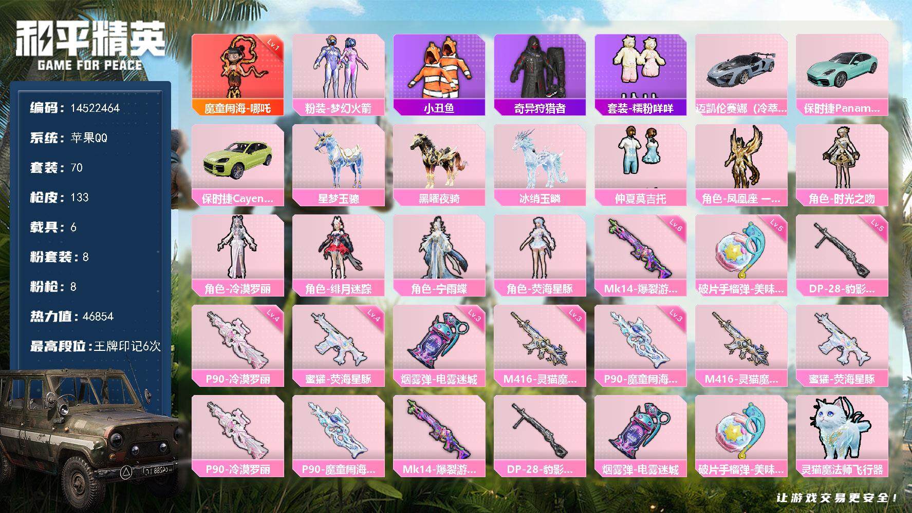 HPDN3430166和平精英账号详情图22 HPDN3430166和平精英账号详情图22