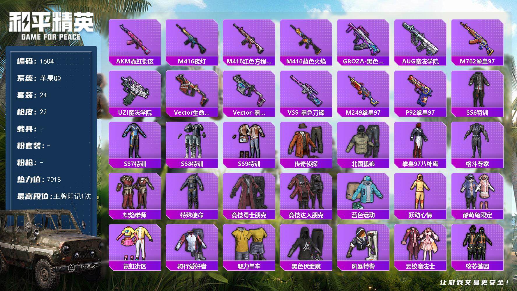 和平精英账号苹果QQ0载具-24套装-22枪皮-24套装/装备25/战备28/王牌印记1/热力值7018/AKM-霓虹街
