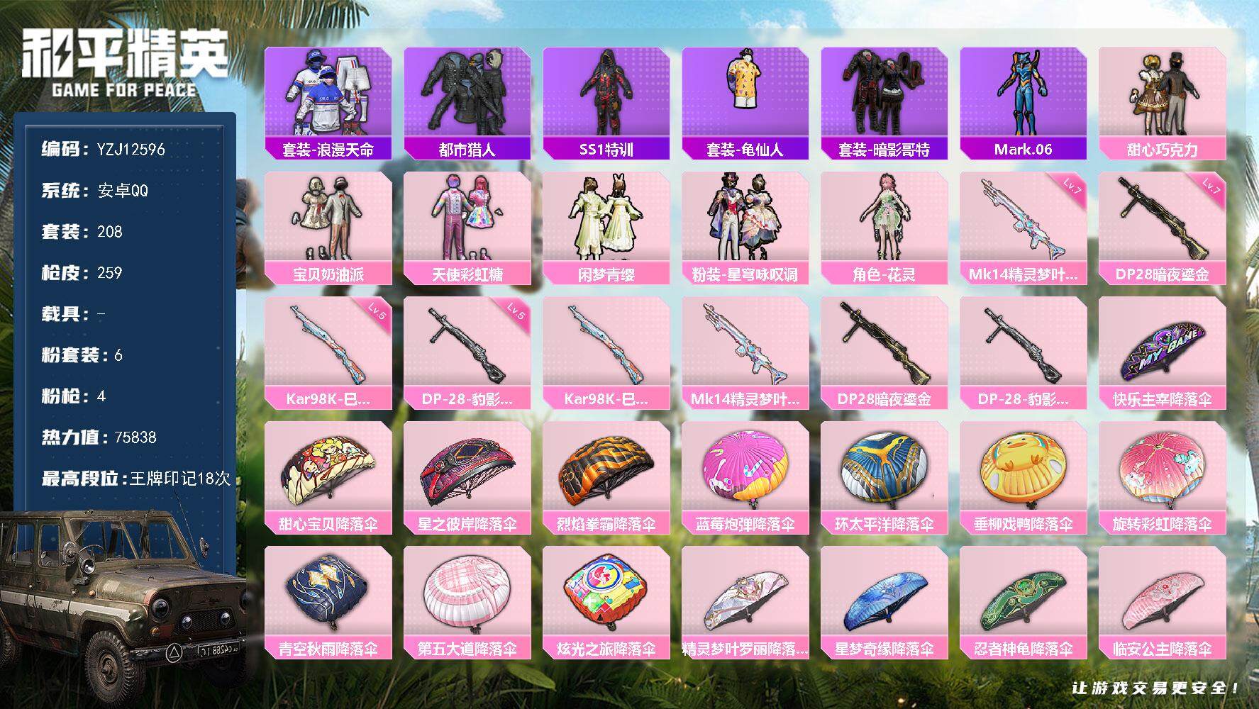 和平精英账号安卓QQ0载具-208套装-259枪皮-YZJ12596-可二次-安卓Q-2稀有6粉装4特效枪13热门【小身