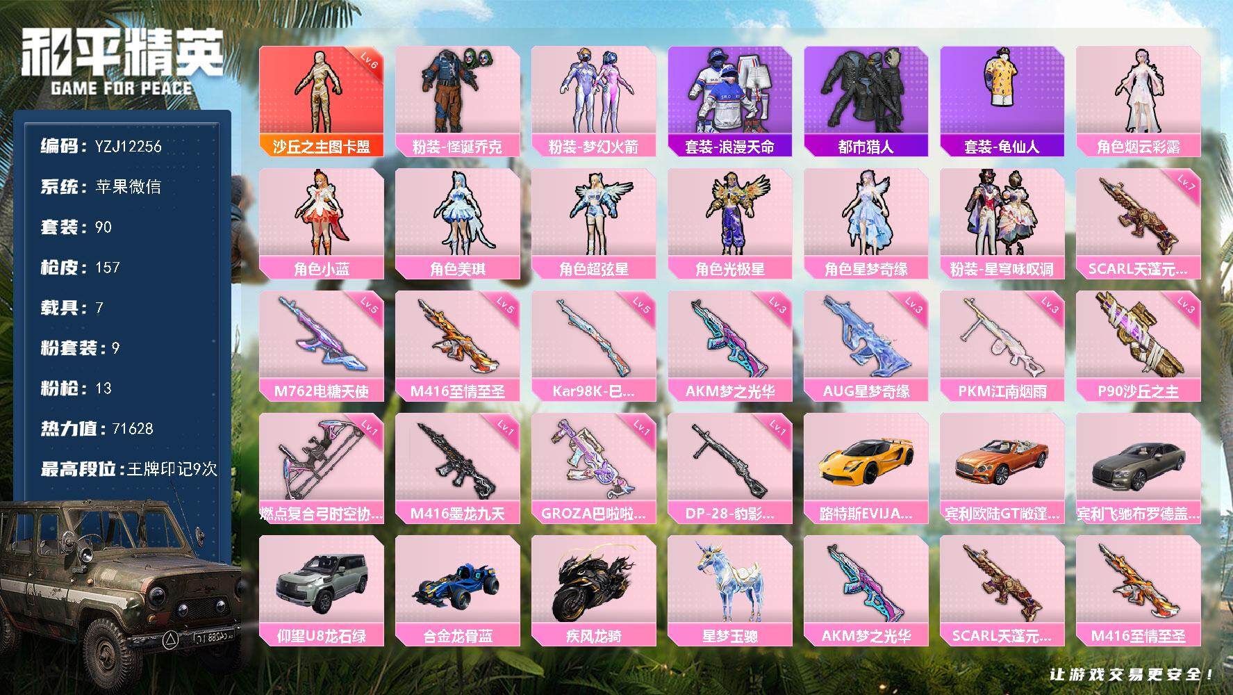 和平精英账号苹果微信YZJ12256 可二次  红装六级图卡盟 高级外观  都市  火箭少女  SCAR-L-天蓬元帅7