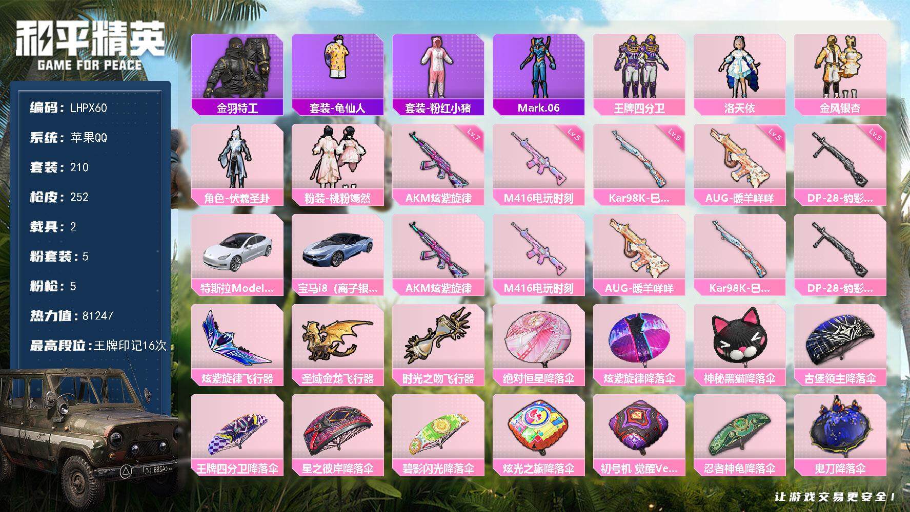 HPLE3453245和平精英账号详情图2