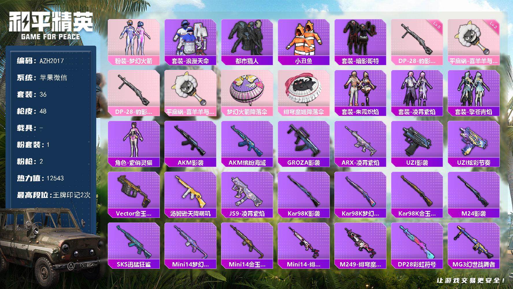 和平精英账号苹果微信【AZH2017】苹果 微信【梦幻火箭都市暗影哥特 二级平底锅-喜羊羊与灰太狼】1粉装-2特效枪-0