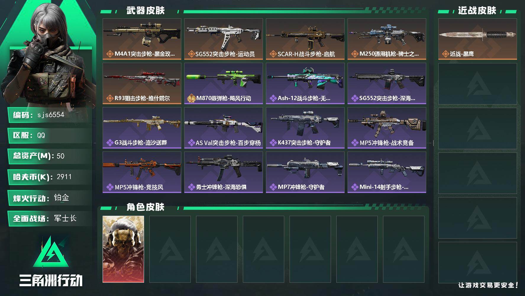 SJZCMW3103102三角洲行动账号详情图2