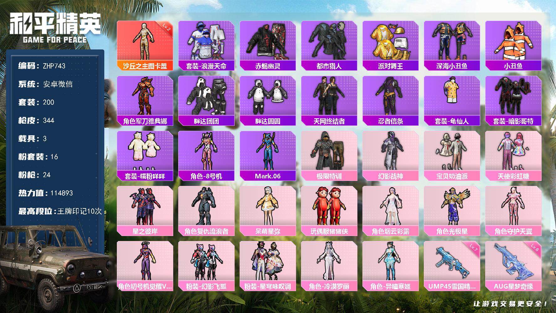 HPLE3454171和平精英账号详情图2 HPLE3454171和平精英账号详情图2