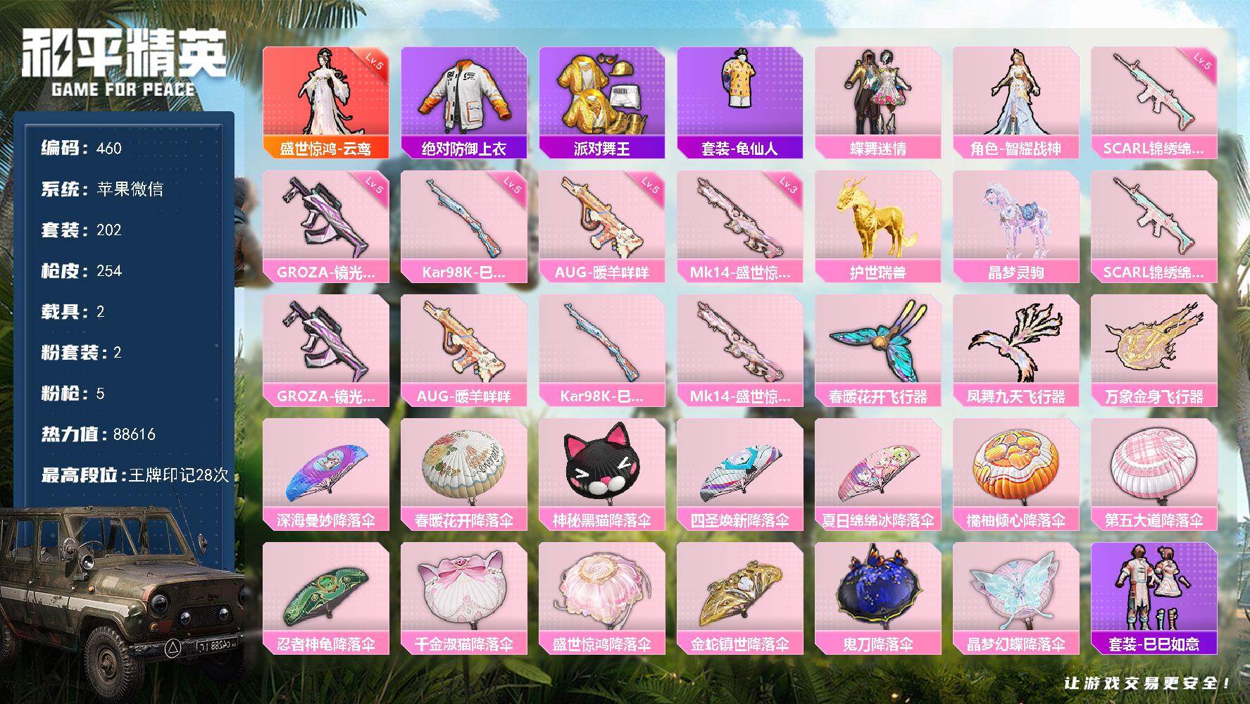 HPKG454021和平精英账号详情图13