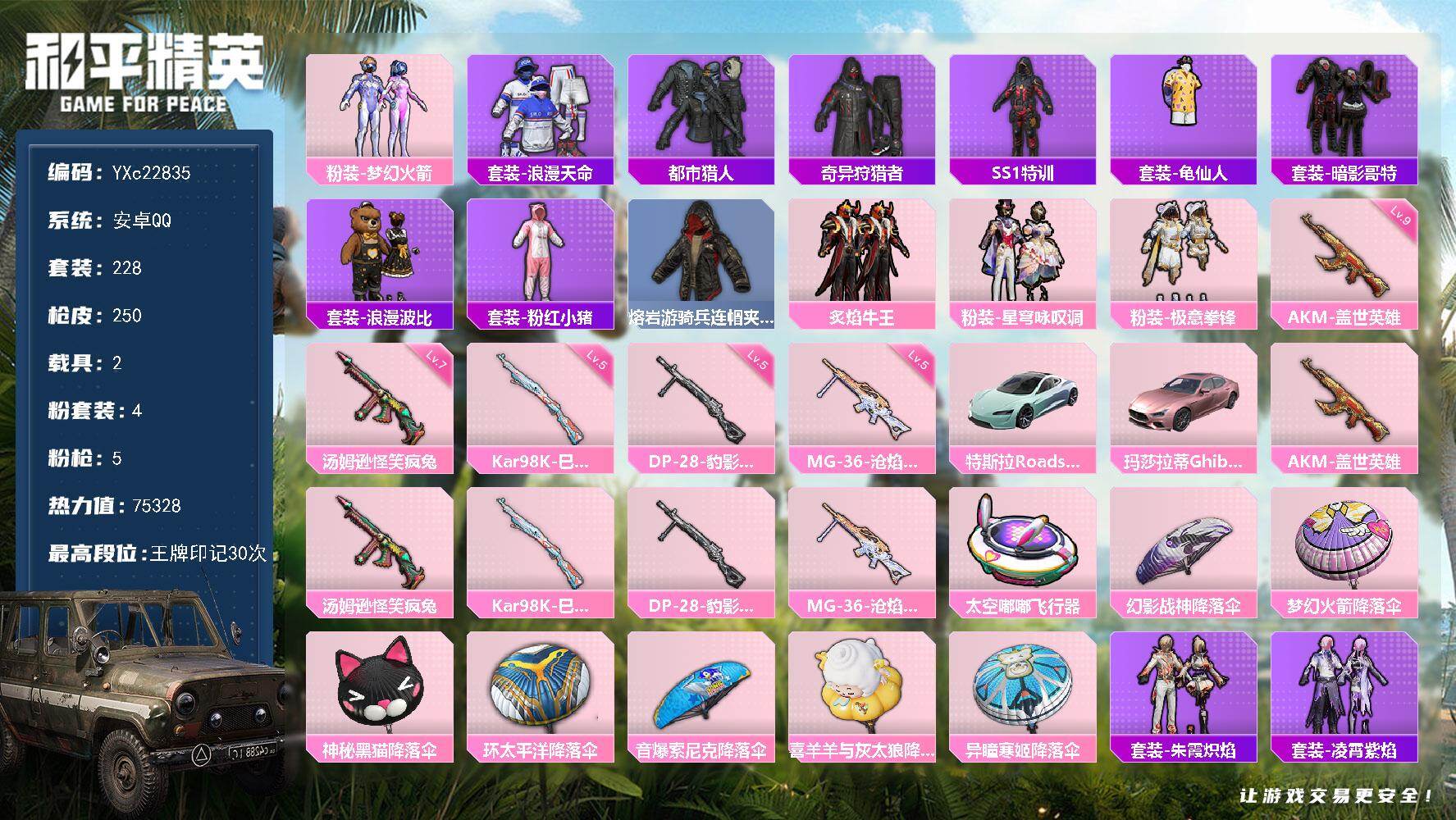 和平精英账号安卓QQ2载具-228套装-250枪皮-【高印记 SI赛事外套 都市 粉玛莎 新101 哥特 满级AK盖世英