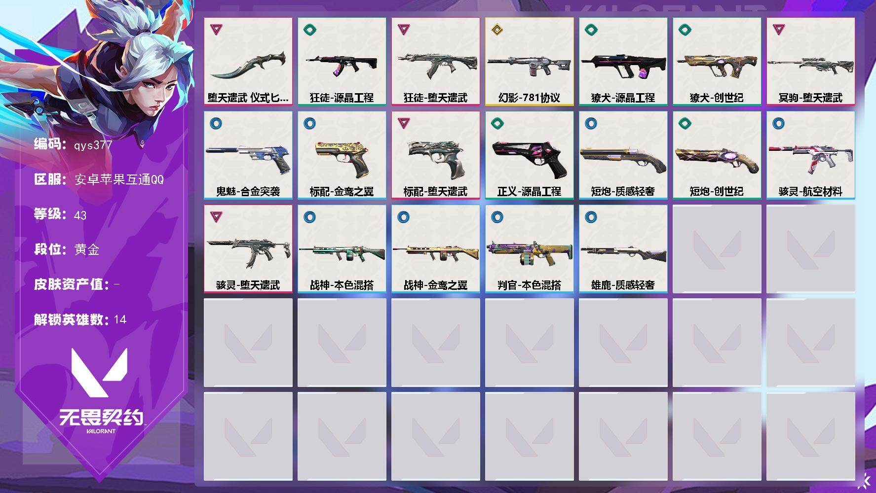 弃王套+781幻影 qys377 实名人:...