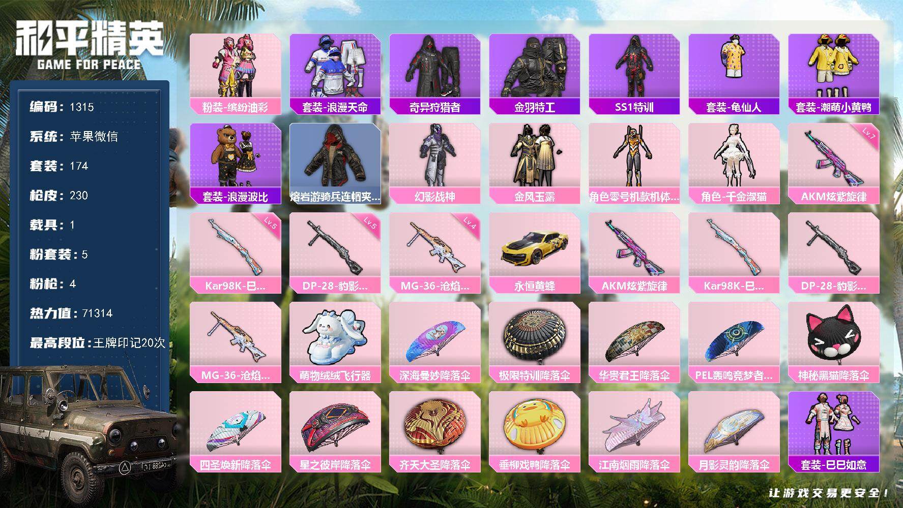 和平精英账号苹果微信1载具-174套装-230枪皮-【1315】【极品身法素材男神号·20印记·5粉·4特·1车·螳螂·