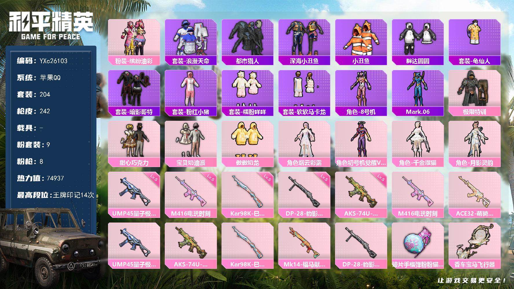 和平精英账号苹果QQ0载具-204套装-242枪皮-【小姐姐号！都市 巧克力 猪妹 极限特训 马卡龙 晶辉 咩咩 兔兔 
