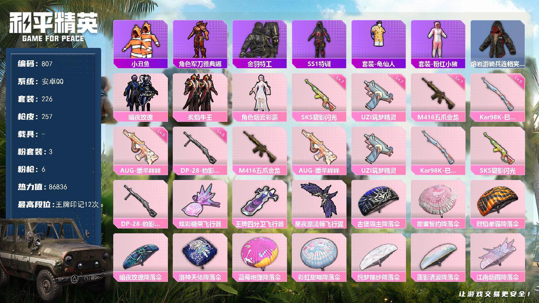 HPQM4102039和平精英账号详情图3 HPQM4102039和平精英账号详情图3