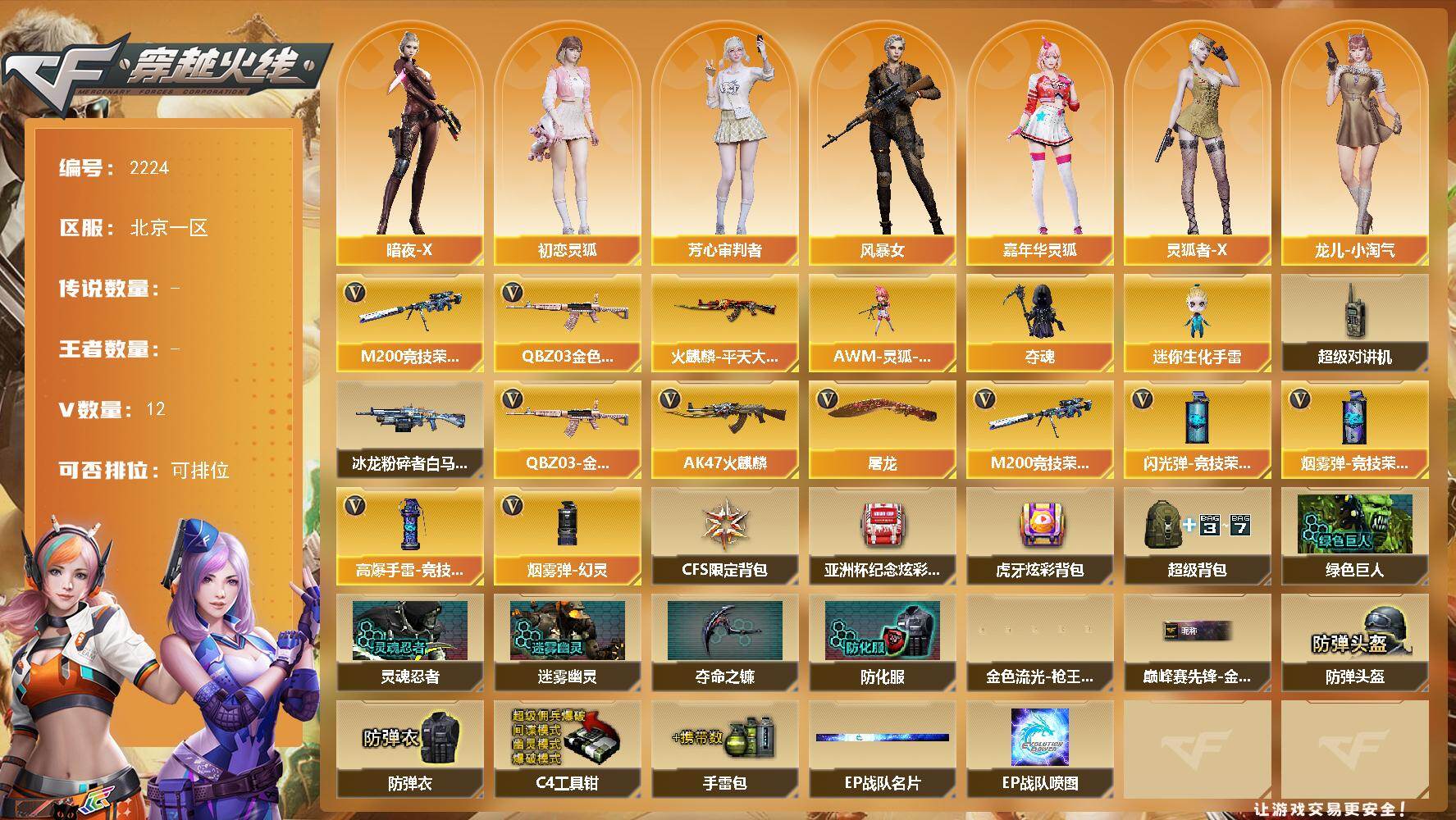 穿越火线账号北部战区北京一区[17751460]北京一区-12V-0王者武器数-0炫金武器数
【热门武器】：QBZ03-金色蔷薇，M200-竞技荣光
【皮肤】：火麒麟-平天大圣
【角色】：暗夜-X，初恋灵狐，芳心审判者，风暴女，