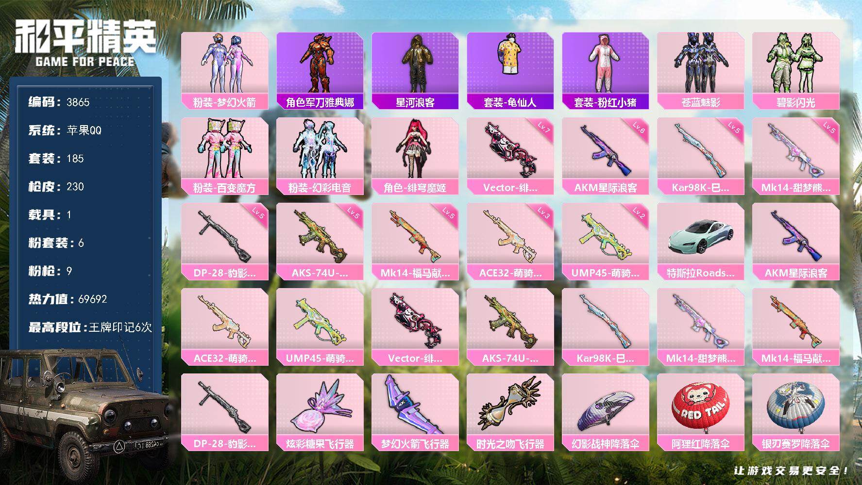和平精英账号苹果QQ1载具-185套装-230枪皮-185套装/枪械9/装备238/载具1/战备160/王牌印记6/热力