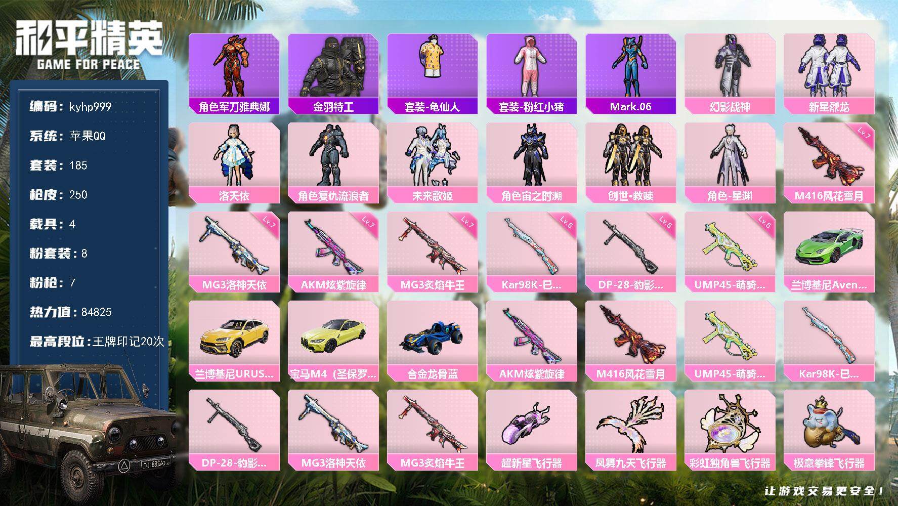 HPLX4116196和平精英账号详情图6 HPLX4116196和平精英账号详情图6