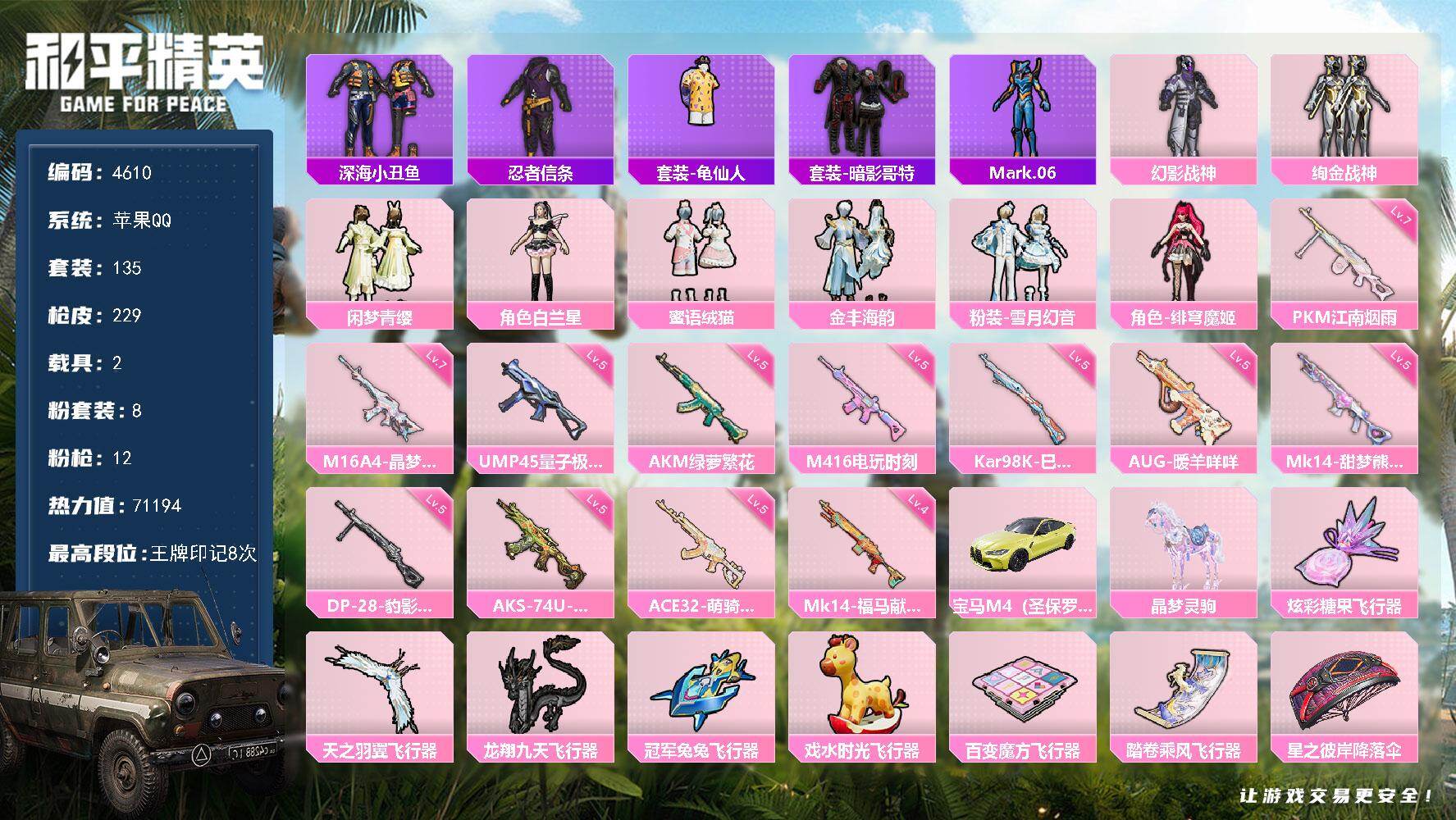 和平精英账号苹果QQ135套装/枪械12/装备324/载具2/战备149/王牌印记8/热力值71194/五级AKM-绿萝