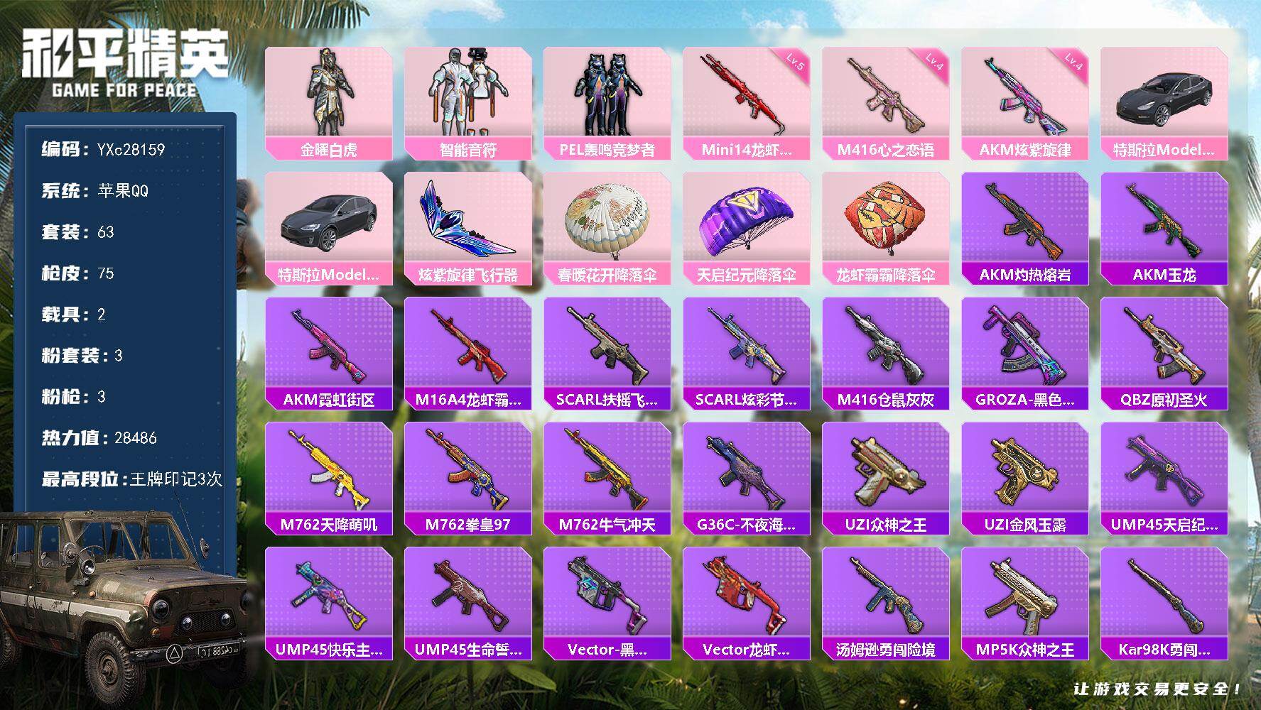 和平精英账号苹果QQYXc28159-【可二次】【因赛季更新游戏段付以上号为准!】
 苹果Q-2载具3粉装3特效枪11热