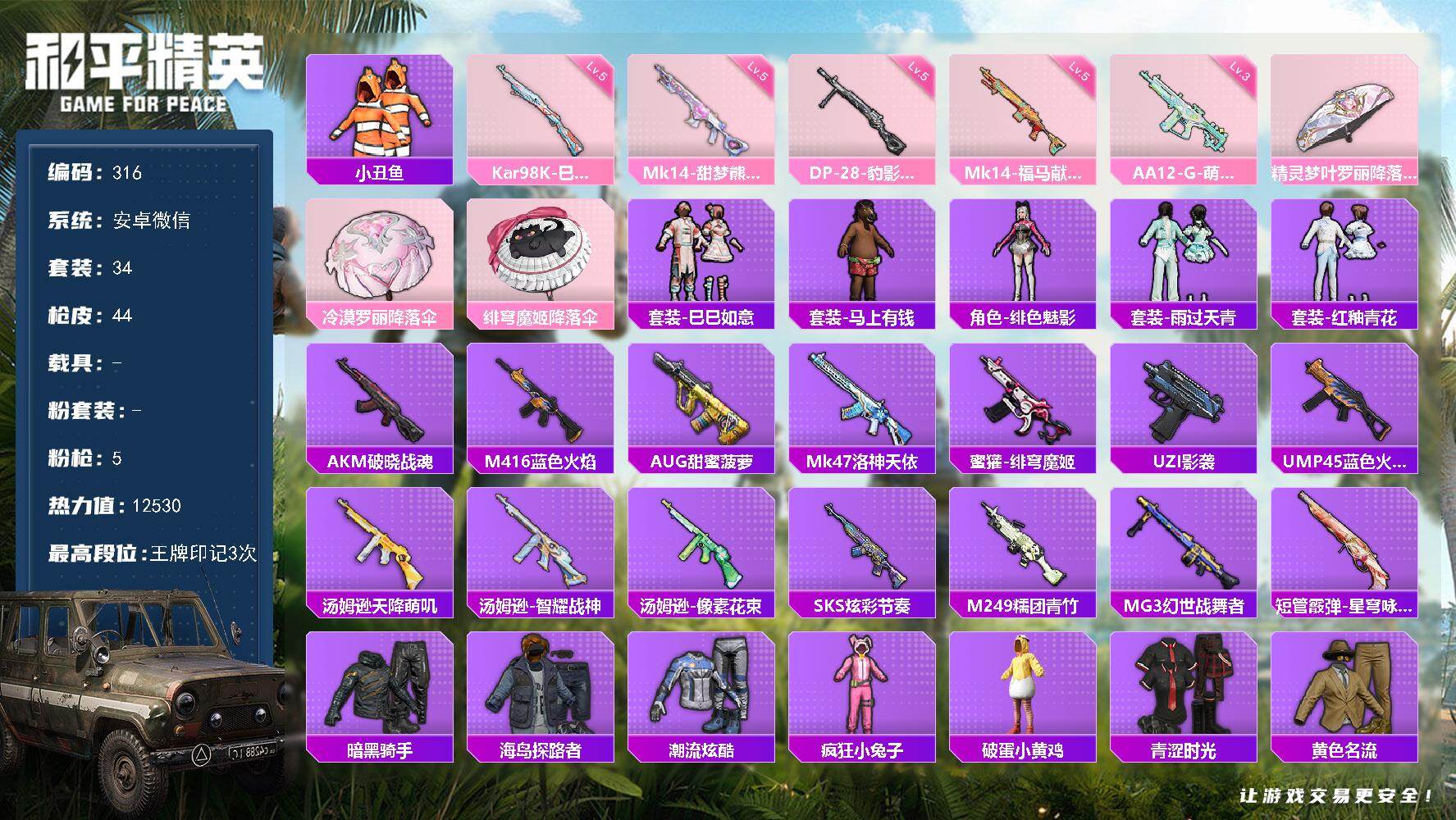 和平精英账号安卓微信 安卓V-5特效枪2热门34套装43枪皮 3印记  【5特效枪】 Kar98K-巳巳如意 (5级) 