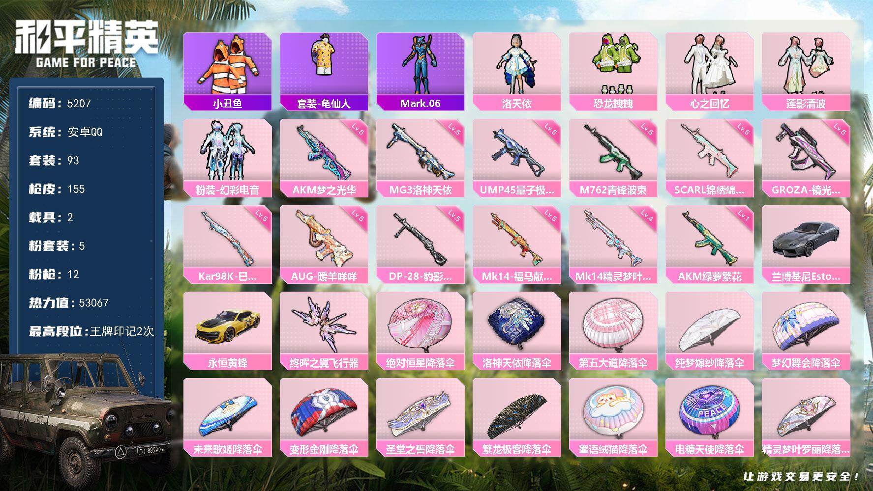 和平精英账号安卓QQ93套装/枪械12/装备219/载具2/战备119/王牌印记2/热力值53067/五级AKM-梦之光