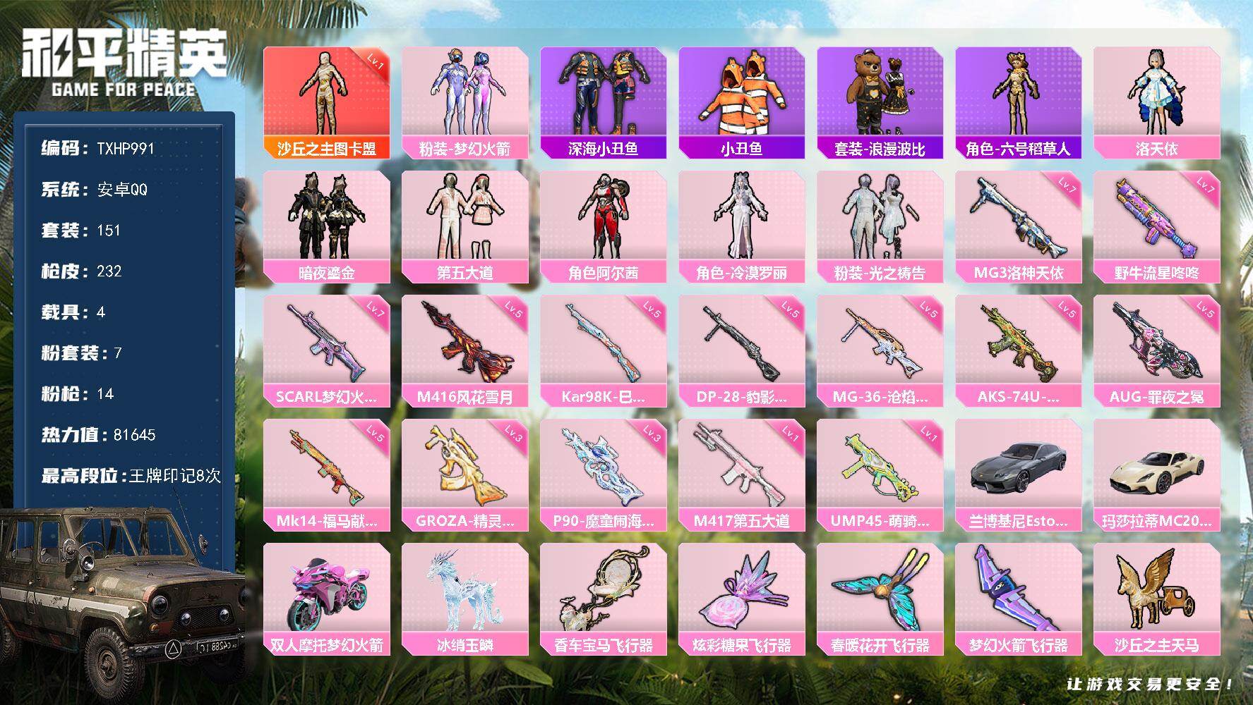 HPQM4176216和平精英账号详情图3 HPQM4176216和平精英账号详情图3