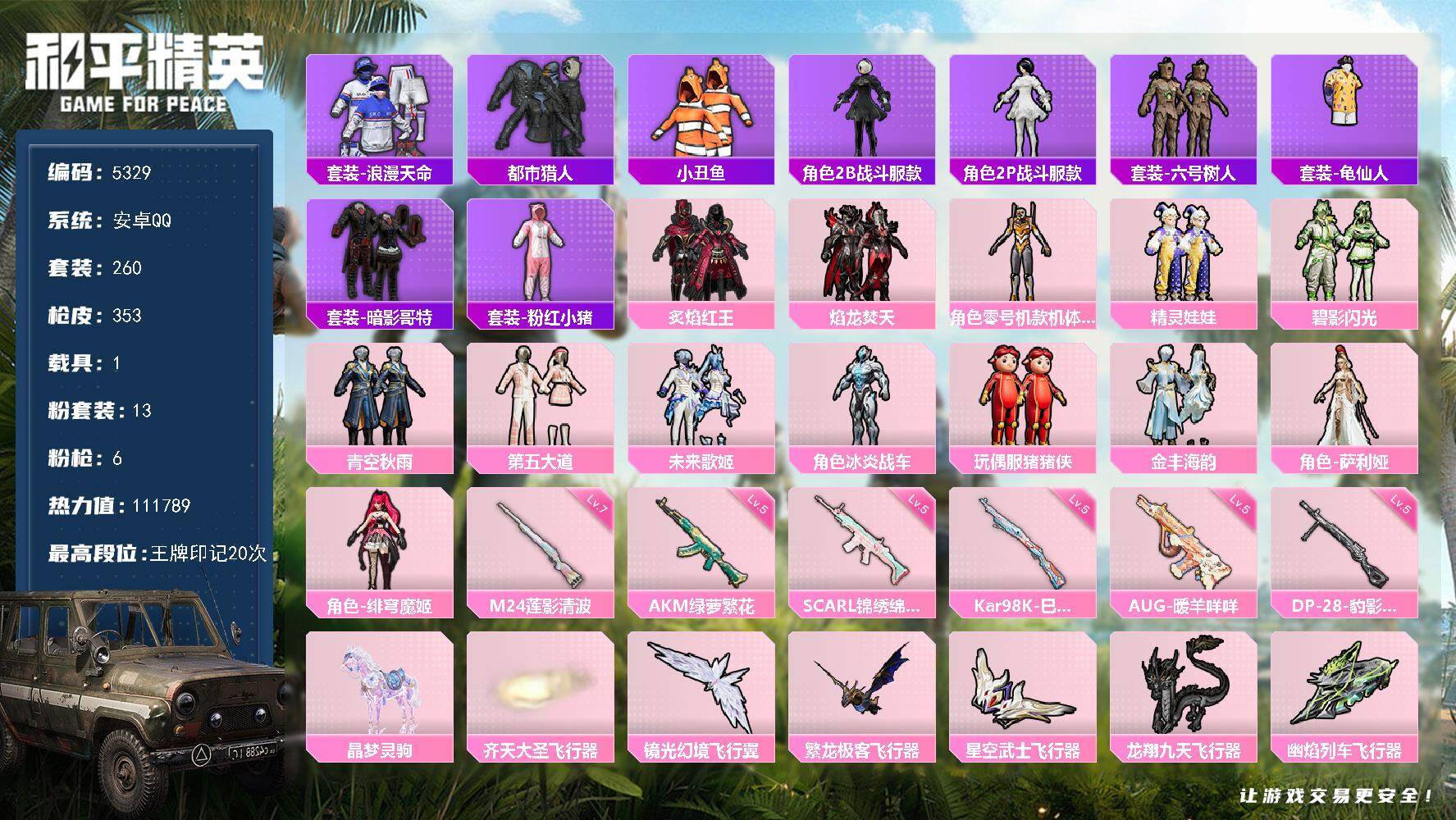 和平精英账号安卓QQ260套装/枪械6/装备511/载具1/战备273/王牌印记20/热力值/五级AKM-绿萝繁花/五级