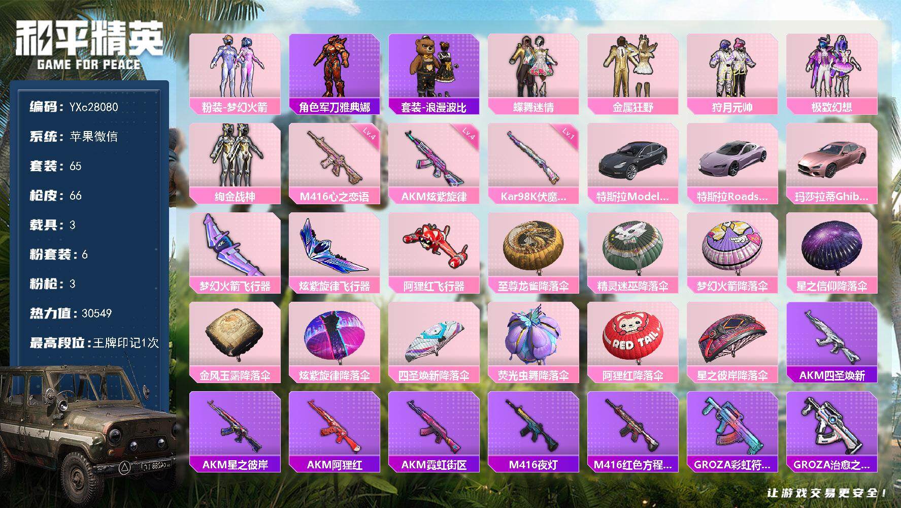 和平精英账号苹果微信【粉玛莎 新101】YXc28080-【可二次】【因赛季更新游戏段付以上号为准!】
 苹果V-3载具6粉装3特效枪20热门65套装66枪皮  1印记 历史超级王牌 
【3载具】 玛莎拉蒂粉色 特斯拉R