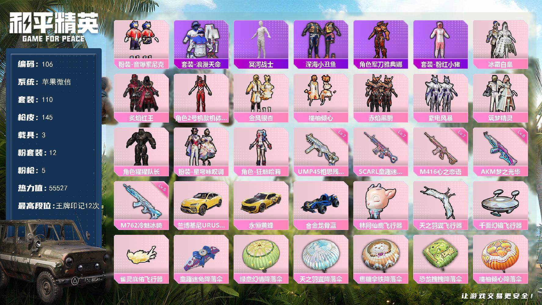 和平精英账号苹果微信苹果 微信-12粉装-5特效枪-3载具-4粉色飞行器-55527热力值-12王牌印记-110套装-145枪皮
【热门品类】：粉装-音爆索尼克，套装-浪漫天命，套装-冥河战士，套装-深海小丑鱼，角色-